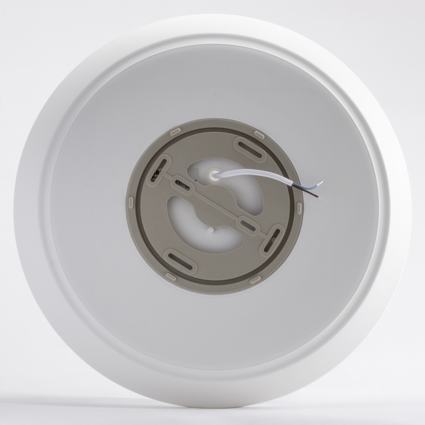 LED-Deckenleuchte AVESTA LED/28W/230V 4000K IP54