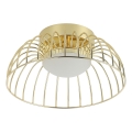 LED-Deckenleuchte BETSY LED/12W/230V Ø 25 cm gold