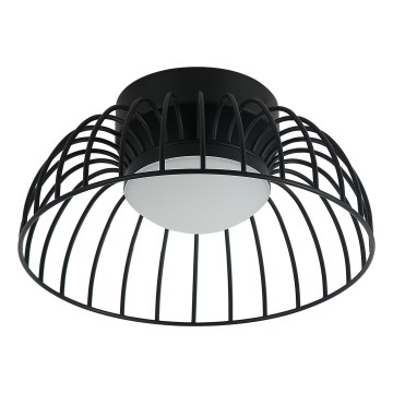 LED-Deckenleuchte BETSY LED/12W/230V Ø 25 cm schwarz
