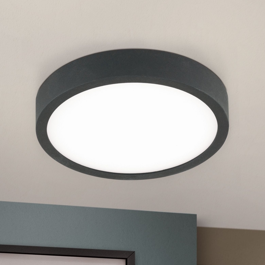 LED-Deckenleuchte BULLY LED/12W/230V d 14 cm schwarz