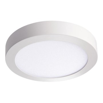 LED-Deckenleuchte CARSA LED/18W/230V 3000K weiß