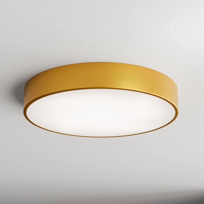 LED Deckenleuchte CLEO LED/69W/230V 3000K Ø 50 cm gold