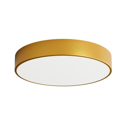 LED Deckenleuchte CLEO LED/69W/230V 3000K Ø 50 cm gold