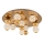 LED Deckenleuchte CREMONA LED/37W/230V 3000K Gold