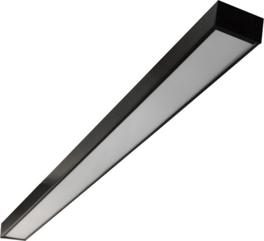 LED Deckenleuchte CYNIDECO LED/12W/230V 4000K Schwarz