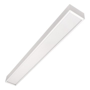 LED Deckenleuchte CYNIDECO LED/12W/230V 4000K Weiß
