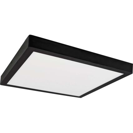 LED Deckenleuchte FENIX LED/24W/230V 3800K