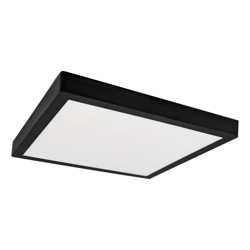 LED Deckenleuchte FENIX LED/24W/230V 3800K