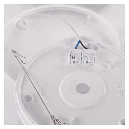 LED-Deckenleuchte FLORI LED/22W/230V 4000K schwarz 42x42 cm
