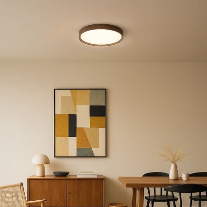 LED-Deckenleuchte FOREST LED/24W/230V Ø 39 cm braun