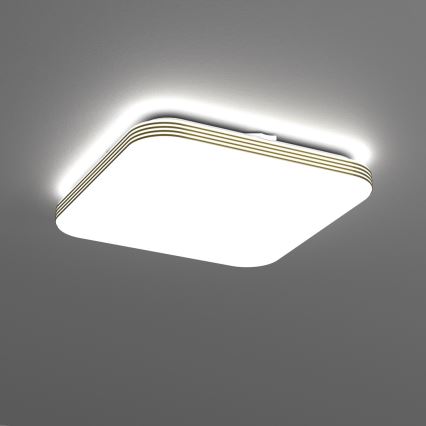 LED-Deckenleuchte für Badezimmer DABAR LED/17W/230V 4000K 33x33 cm IP44