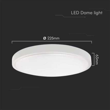 LED-Deckenleuchte für Badezimmer LED/18W/230V 4000K IP44 d 22,5 cm weiß