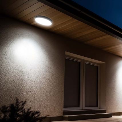 LED-Deckenleuchte für Badezimmer LED/24W/230V 3000K IP44 schwarz