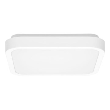 LED-Deckenleuchte für Badezimmer LUKY LED/12W/230V 4000K 25x25 cm IP44 weiß