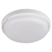 LED-Deckenleuchte für Badezimmer TOLU LED/18W/230V 4000K IP54 weiß