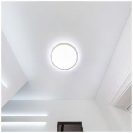 LED-Badezimmer-Deckenleuchte DEFENDER LED/12/18/24W/230V 3000/4000/6500K IP65 Ø 30 cm weiß