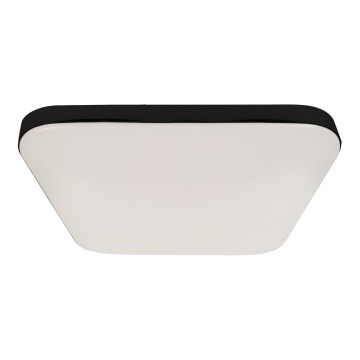 LED-Deckenleuchte für das Badezimmer NEMO LED/17W/230V IP44 schwarz