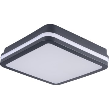 LED-Deckenleuchte für den Außenbereich BENO LED/24/30W/230V 3000/3500/4000K IP65 anthrazit eckig