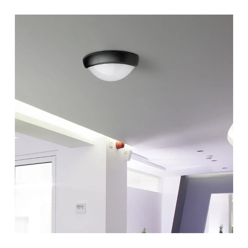 LED-Deckenleuchte für den Außenbereich LED/12W/230V IP54