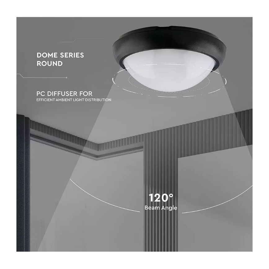 LED-Deckenleuchte für den Außenbereich LED/12W/230V IP54