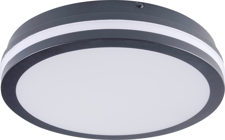 LED-Deckenleuchte für den Außenbereich mit Bewegungssensor BENO LED/24/30W/230V 3000/3500/4000K IP65 anthrazit rund
