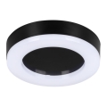 LED-Deckenleuchte für den Außenbereich TURA LED/15W/230V 4000K IP65 schwarz