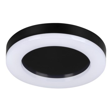 LED-Deckenleuchte für den Außenbereich TURA LED/24W/230V 4000K IP65 schwarz