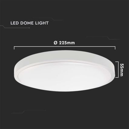 LED-Deckenleuchte fürs Badezimmer LED/18W/230V 6500K IP44 weiß