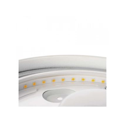 LED-Deckenleuchte fürs Badezimmer LED/18W/230V IP44