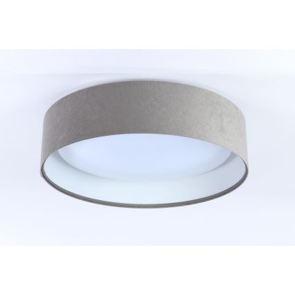 LED Deckenleuchte GALAXY 1xLED/24W/230V Ø 44 cm grau/weiß