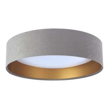 LED Deckenleuchte GALAXY 1xLED/24W/230V Ø 44 cm grau/gold