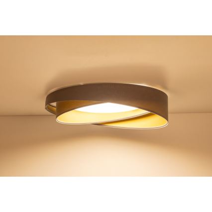 LED-Deckenleuchte GALAXY MODERN LED/24W/230V Ø 55 cm grau/gold