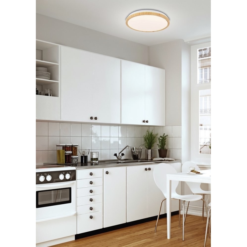 LED-Deckenleuchte GANDAVA LED/18W/230V