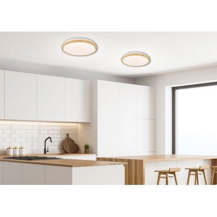 LED-Deckenleuchte GANDAVA LED/18W/230V