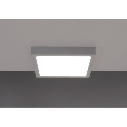 LED-Deckenleuchte GERRY LED/6W/230V 4000K