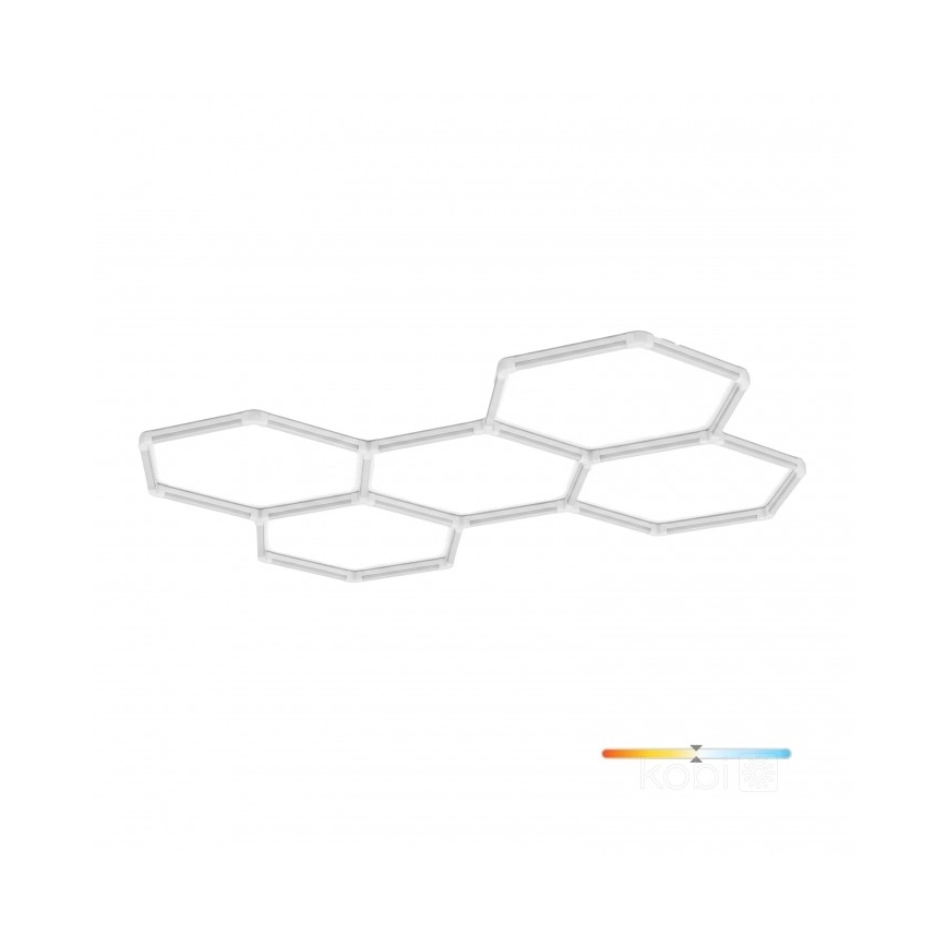 LED-Deckenleuchte HEXLINE LED/216W/230V 4000K 208x300 cm weiß