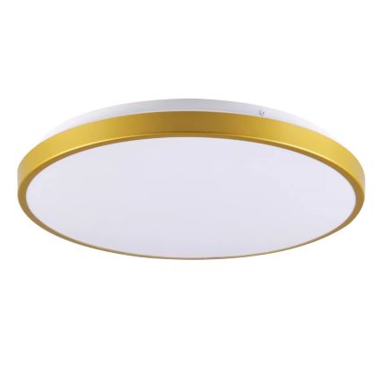 LED Deckenleuchte KERN LED/15W/230V Durchschn. 29 cm