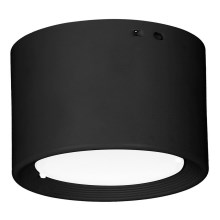 LED-Deckenleuchte LED/10W/230V schwarz d 10 cm