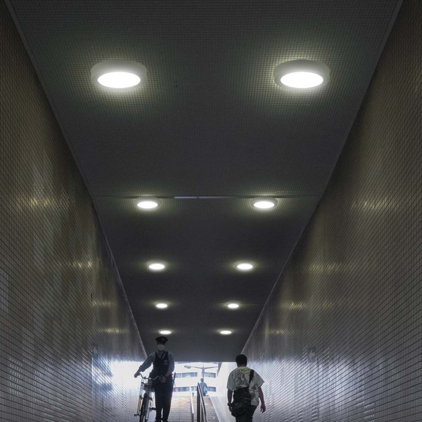 LED-Deckenleuchte LED/12W/230V 3000K weiß