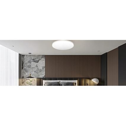 LED-Deckenleuchte LED/12W/230V 4000K d 21,5 cm weiß