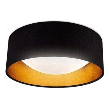 LED-Deckenleuchte LED/12W/230V 4000K