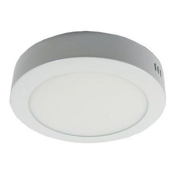 LED Deckenleuchte LED/12W/230V 6000K