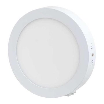 LED Deckenleuchte LED/12W/230V