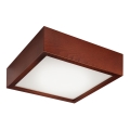 LED-Deckenleuchte LED/12W/230V Kiefer