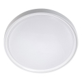 LED Deckenleuchte LED/18W/230V Ø 30 cm Weiß