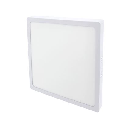 LED Deckenleuchte LED/24W/230V 4200K
