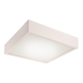 LED Deckenleuchte LED/24W/230V