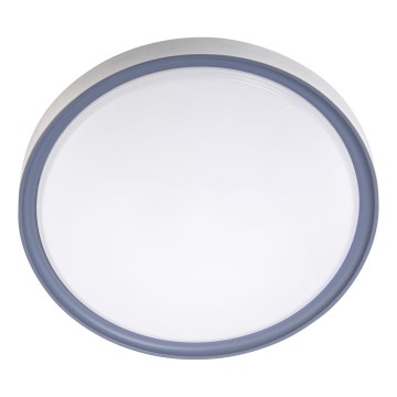 LED Deckenleuchte LED/36W/230V Ø 40 cm weiß/grau