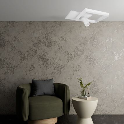 LED Deckenleuchte LED/38W/230V + 1xGU10/30W weiß