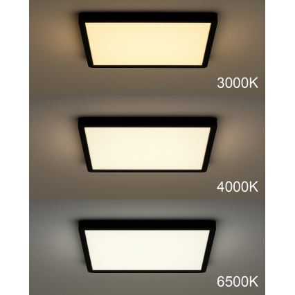 LED-Deckenleuchte LED/40W/230V 3000/4000/6500K 50x50 cm schwarz
